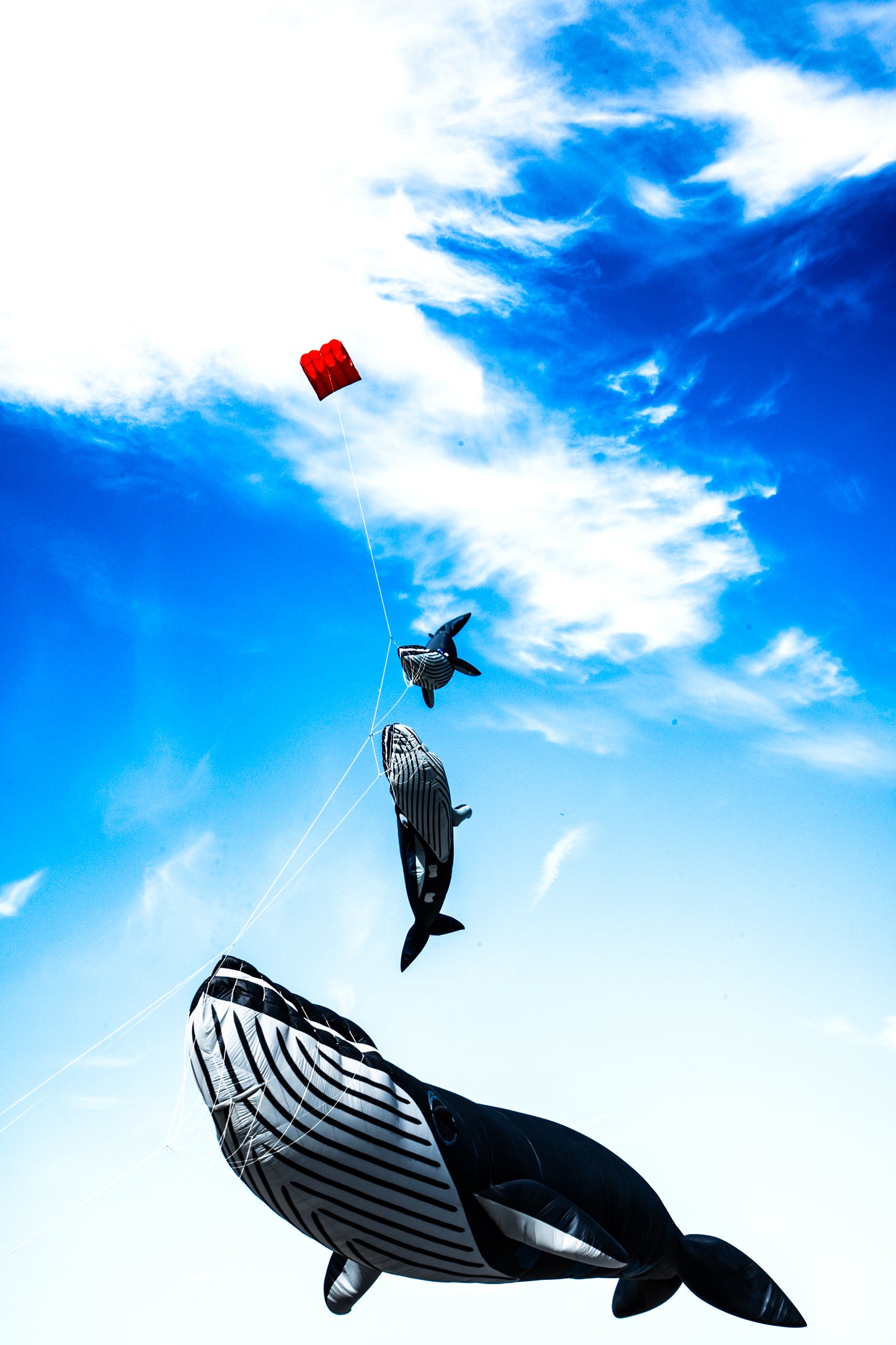 Dieppe - THREE WHALES 1