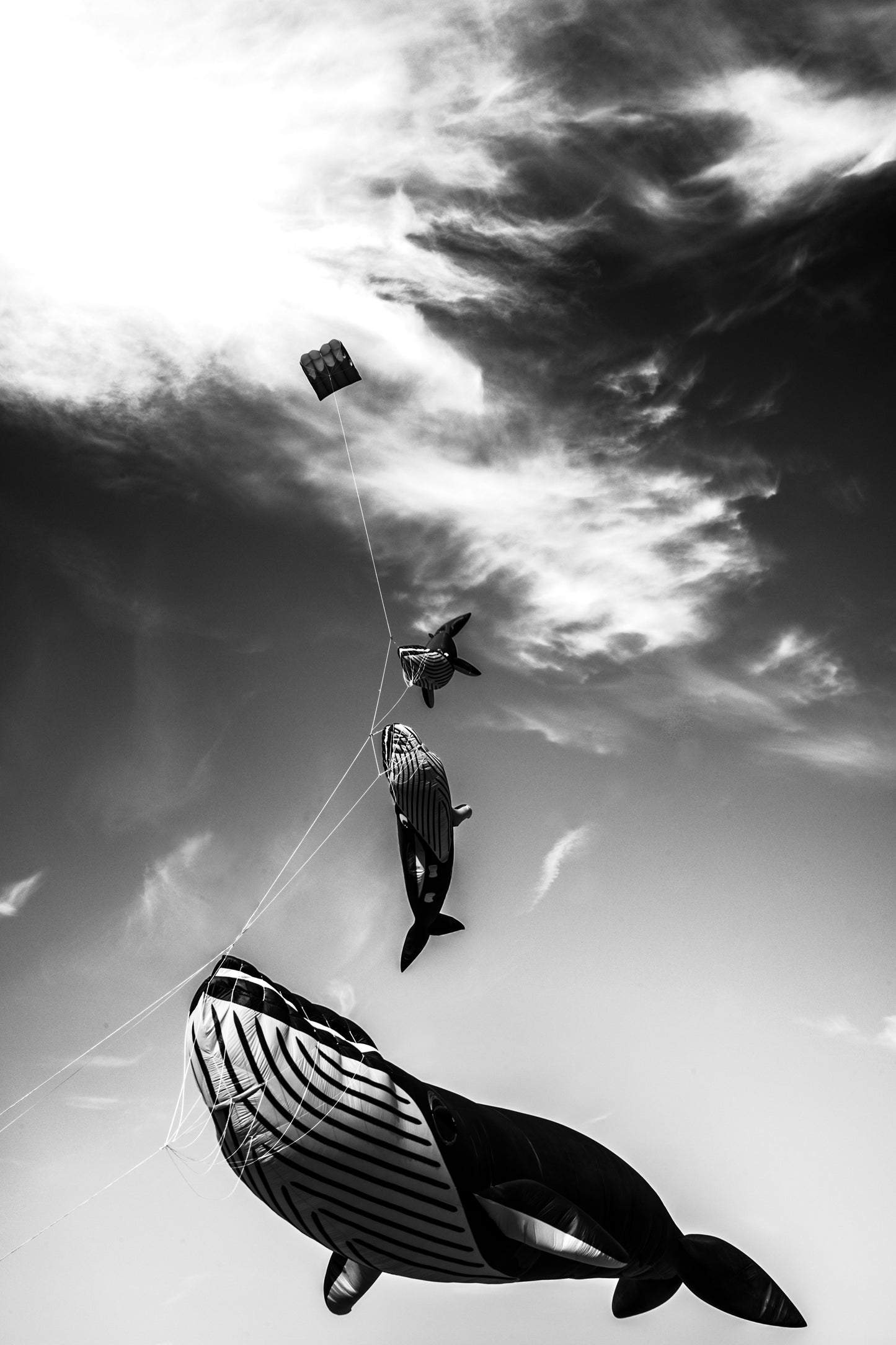Dieppe - THREE WHALES 1