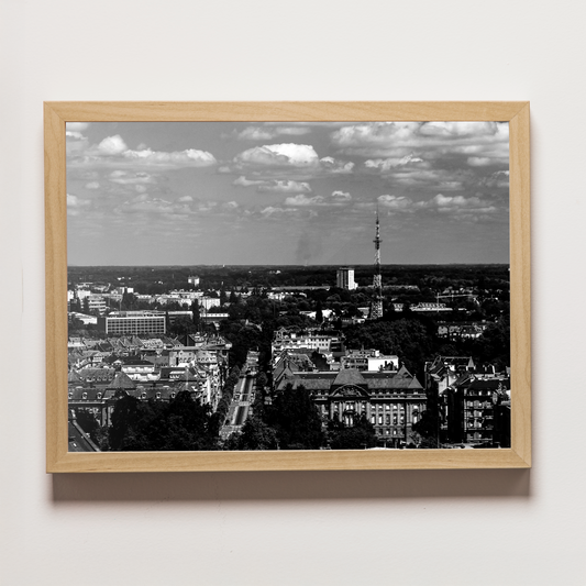 Strasbourg - VU SUR STRASBOURG