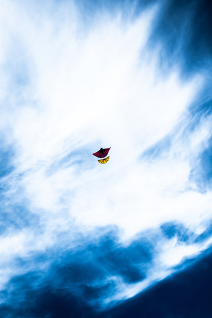 Cerf-volant solitaire dans le ciel de Dieppe - photographie couleur - Corentin GMT