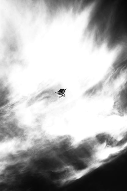 Cerf-volant solitaire dans le ciel de Dieppe - photographie noir et blanc - Corentin GMT