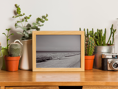 Plage de galets à marée basse, Mers-les-Bains - tirage N&B encadré effet chêne sur une étagère avec cactus - Corentin GMT