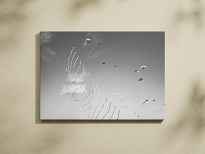 Cerfs-volants rubans, Dieppe - tirage noir et blanc sans cadre sur mur beige - Corentin GMT