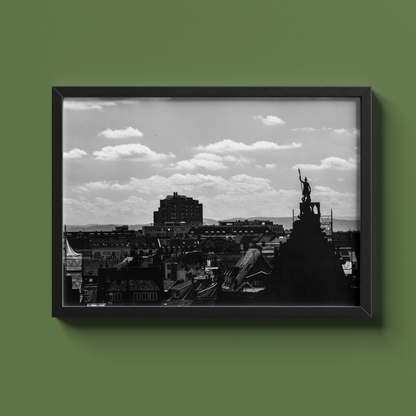 Toits de Strasbourg et statue - tirage N&B cadre noir sur fond vert - Corentin GMT