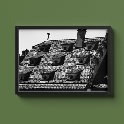 Toit à lucarnes, Strasbourg - tirage N&B cadre noir sur fond vert - Corentin GMT