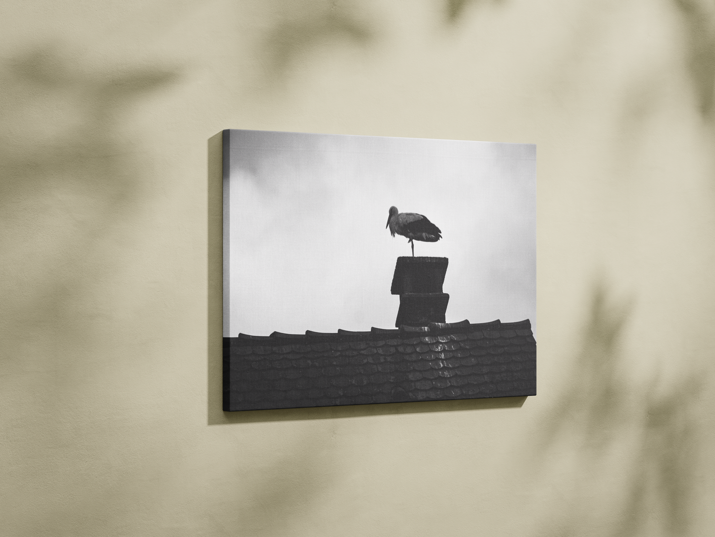Cigogne à Strasbourg, tirage photo d'art noir et blanc - Corentin GMT