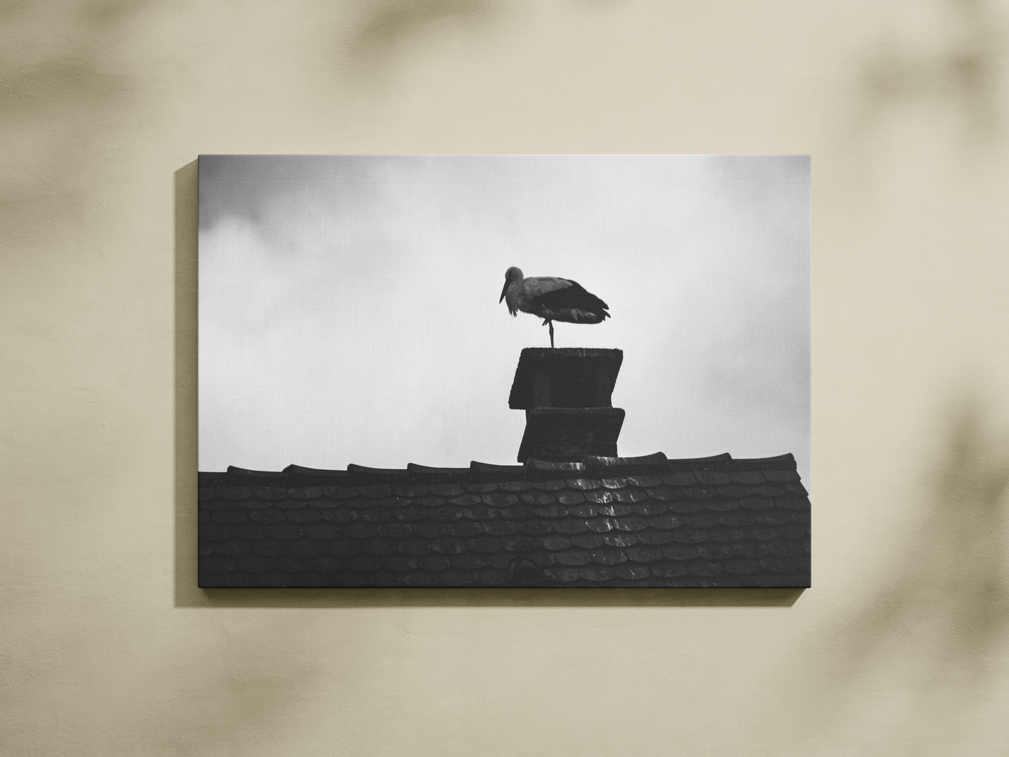 Cigogne à Strasbourg, tirage photo d'art noir et blanc - Corentin GMT