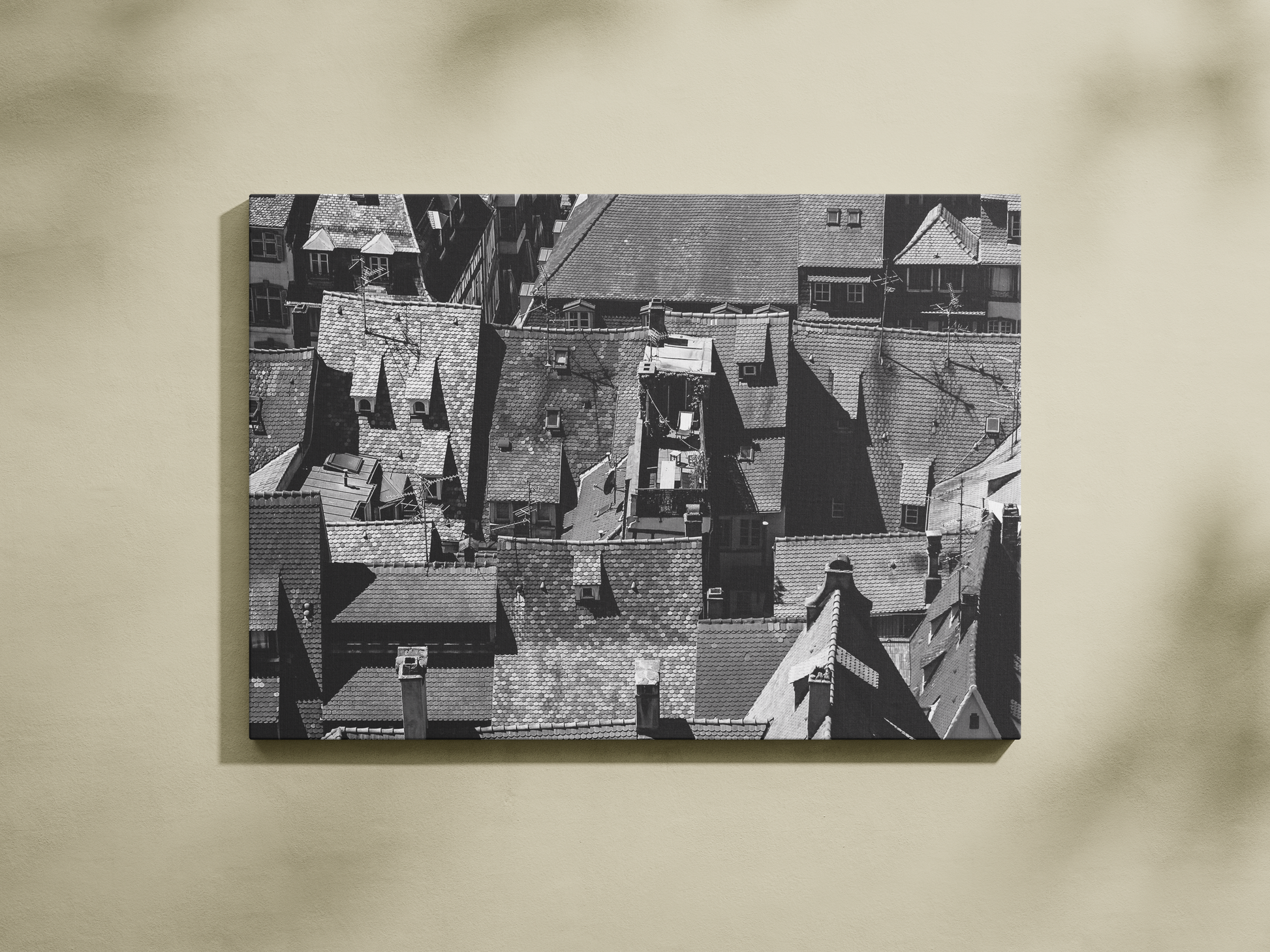 Toits de la vieille ville de Strasbourg, tirage noir et blanc - Corentin GMT