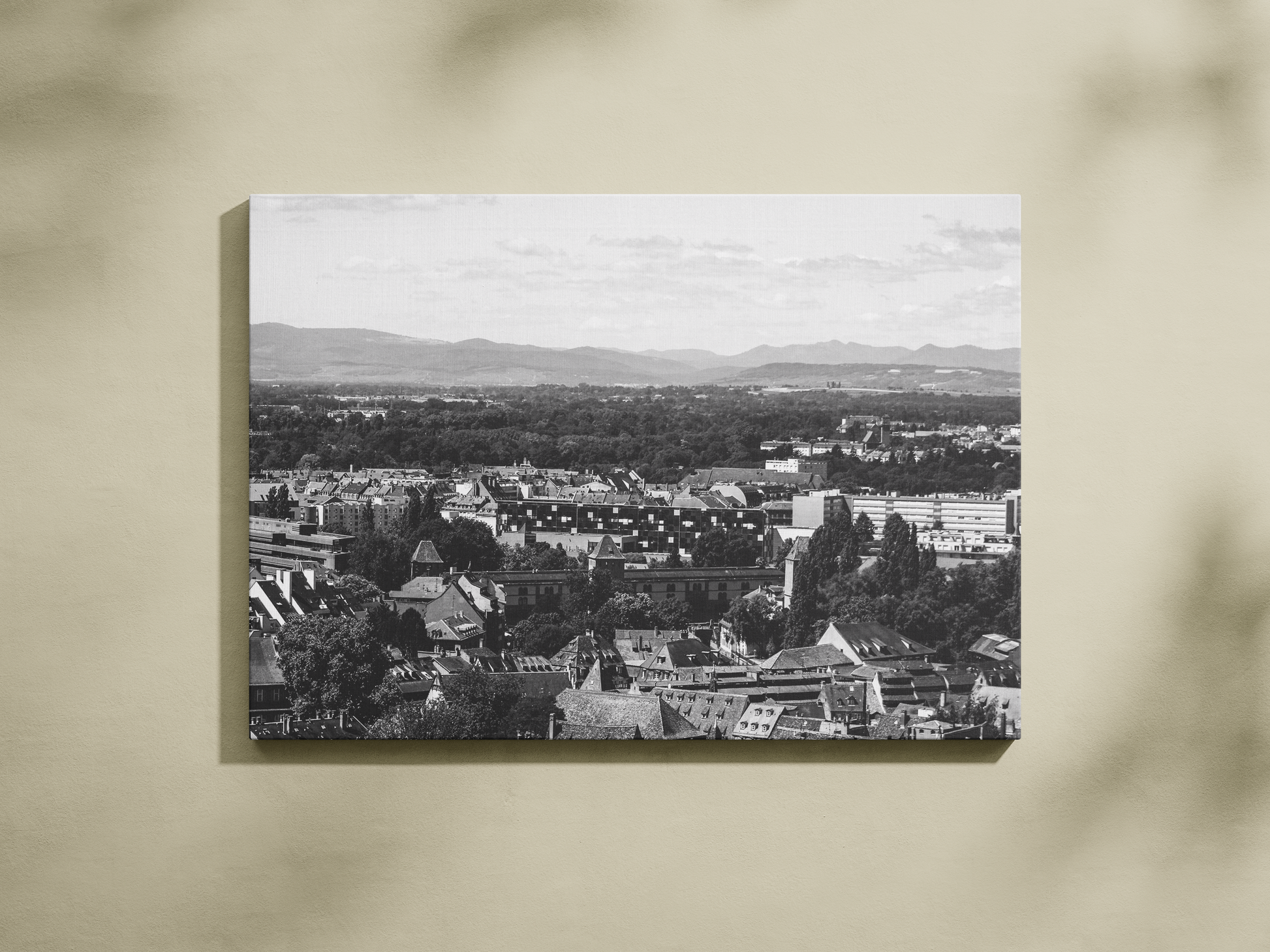 Panorama de Strasbourg et les Vosges, tirage noir et blanc - Corentin GMT