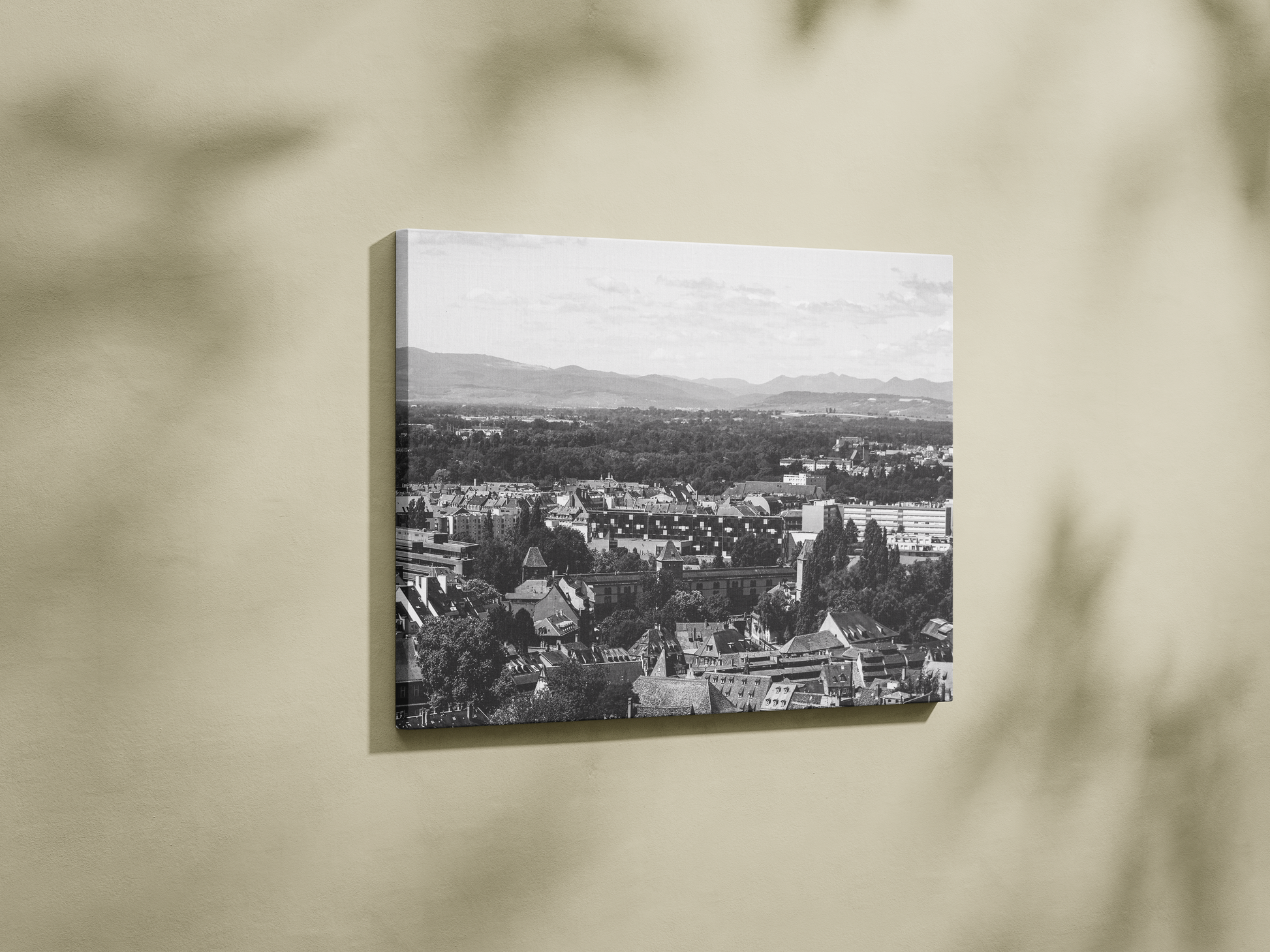 Panorama de Strasbourg et les Vosges, tirage noir et blanc - Corentin GMT