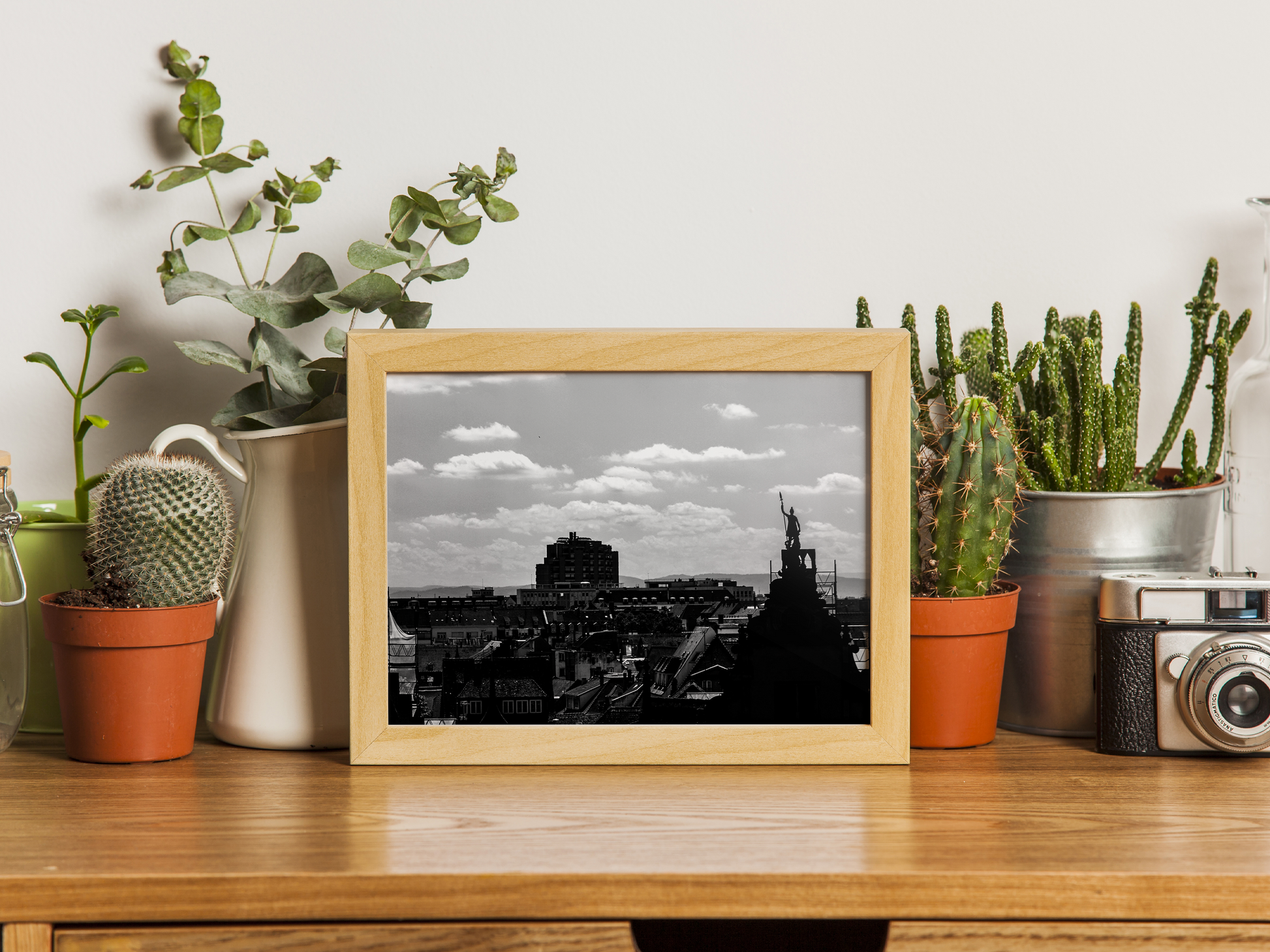 Toits de Strasbourg et statue - tirage N&B posé sur une commode avec plantes - Corentin GMT