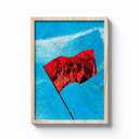 Poster Drapeau Rouge - affiche encadrée chêne clair sur mur blanc - Corentin GMT