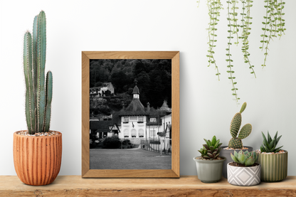 Mairie de La Bouille - tirage N&B posé sur une étagère avec cactus - Corentin GMT