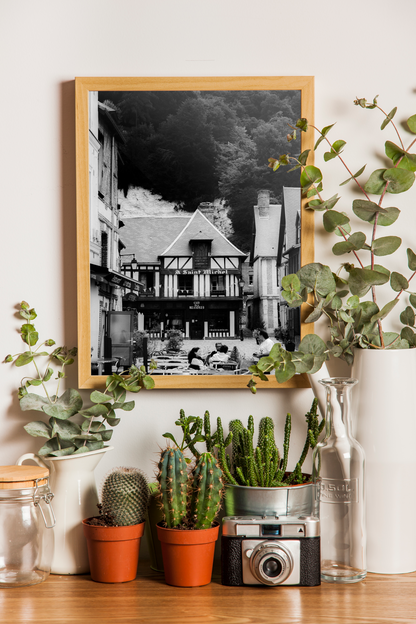 Maison à colombages, La Bouille - tirage N&B au mur avec plantes et cactus - Corentin GMT